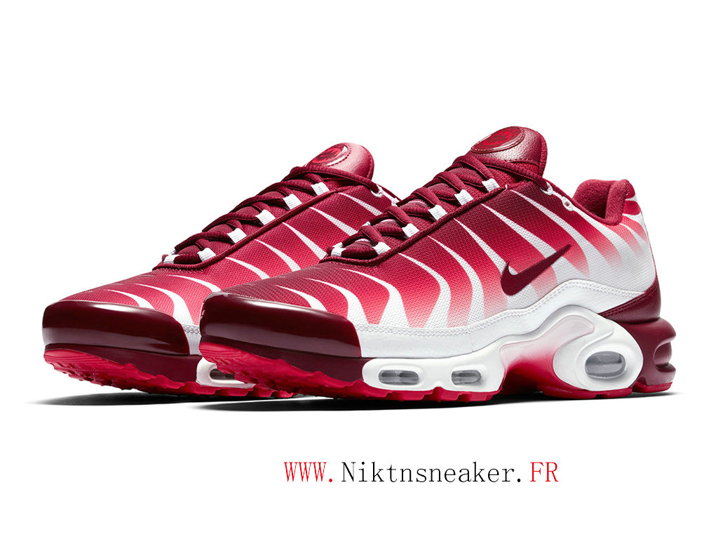 nike tn blanche rouge