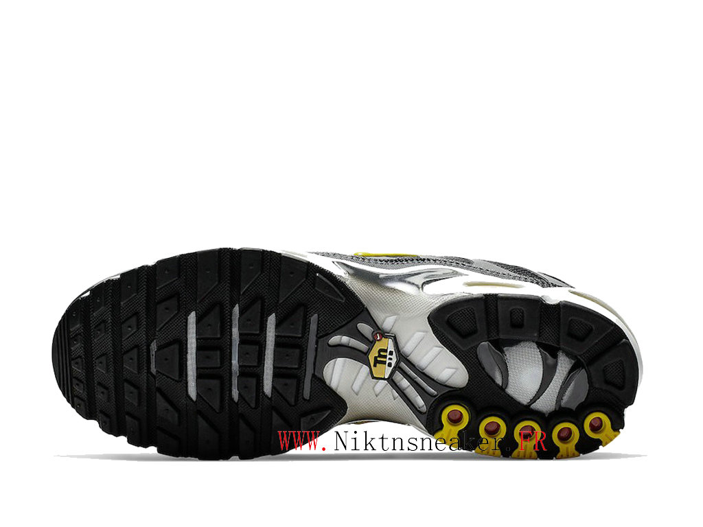 2020 nike air max plus