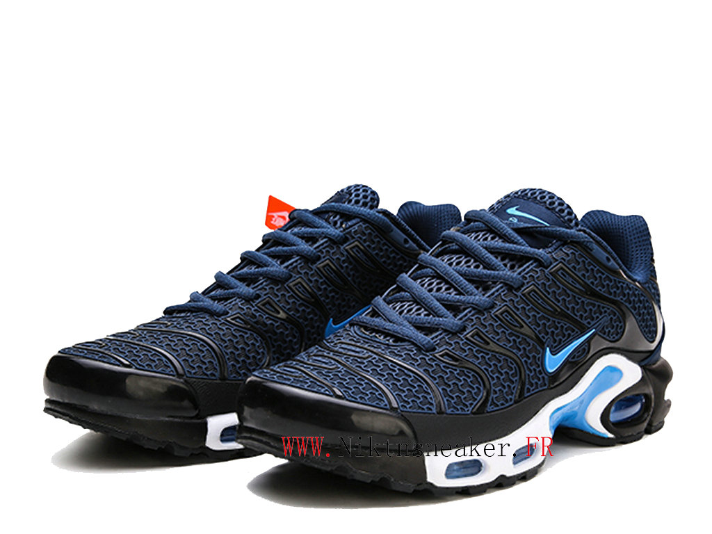 nike tn bleu noir