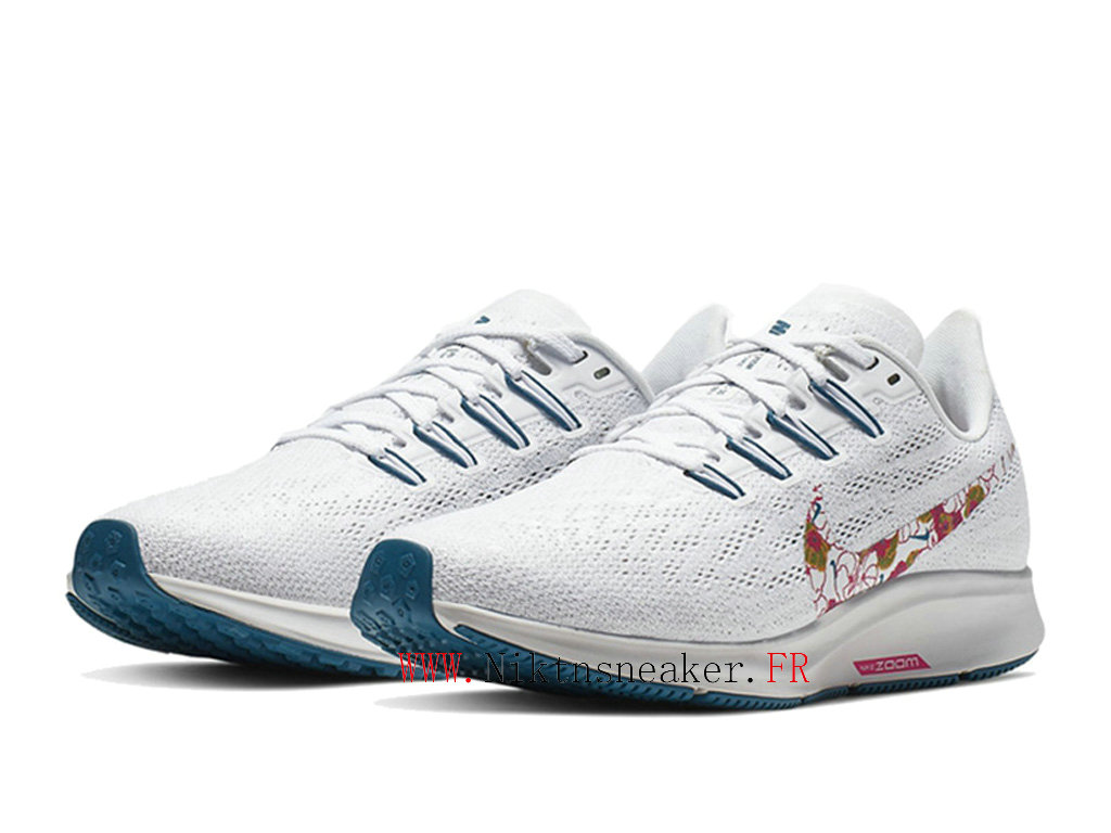 pegasus 36 gs